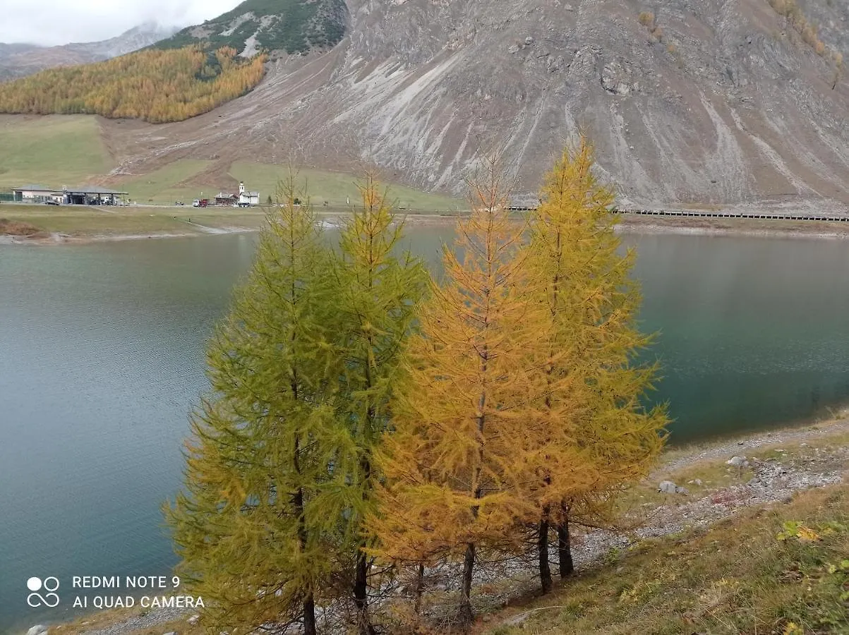 Canton 520 Camera Matrimoniale E Appartamento Self Check In Livigno Pensjonat