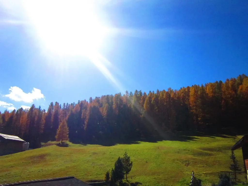 Canton 520 Camera Matrimoniale E Appartamento Self Check In Livigno