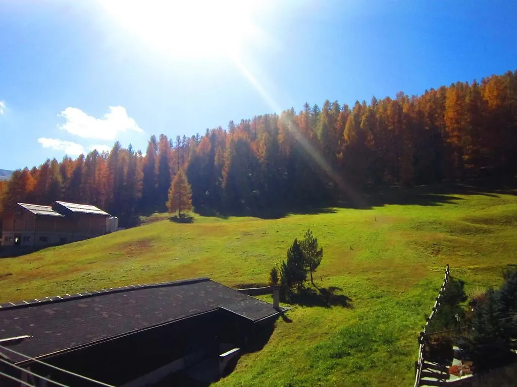 Guest house Canton 520 Camera Matrimoniale E Appartamento Self Check In Livigno