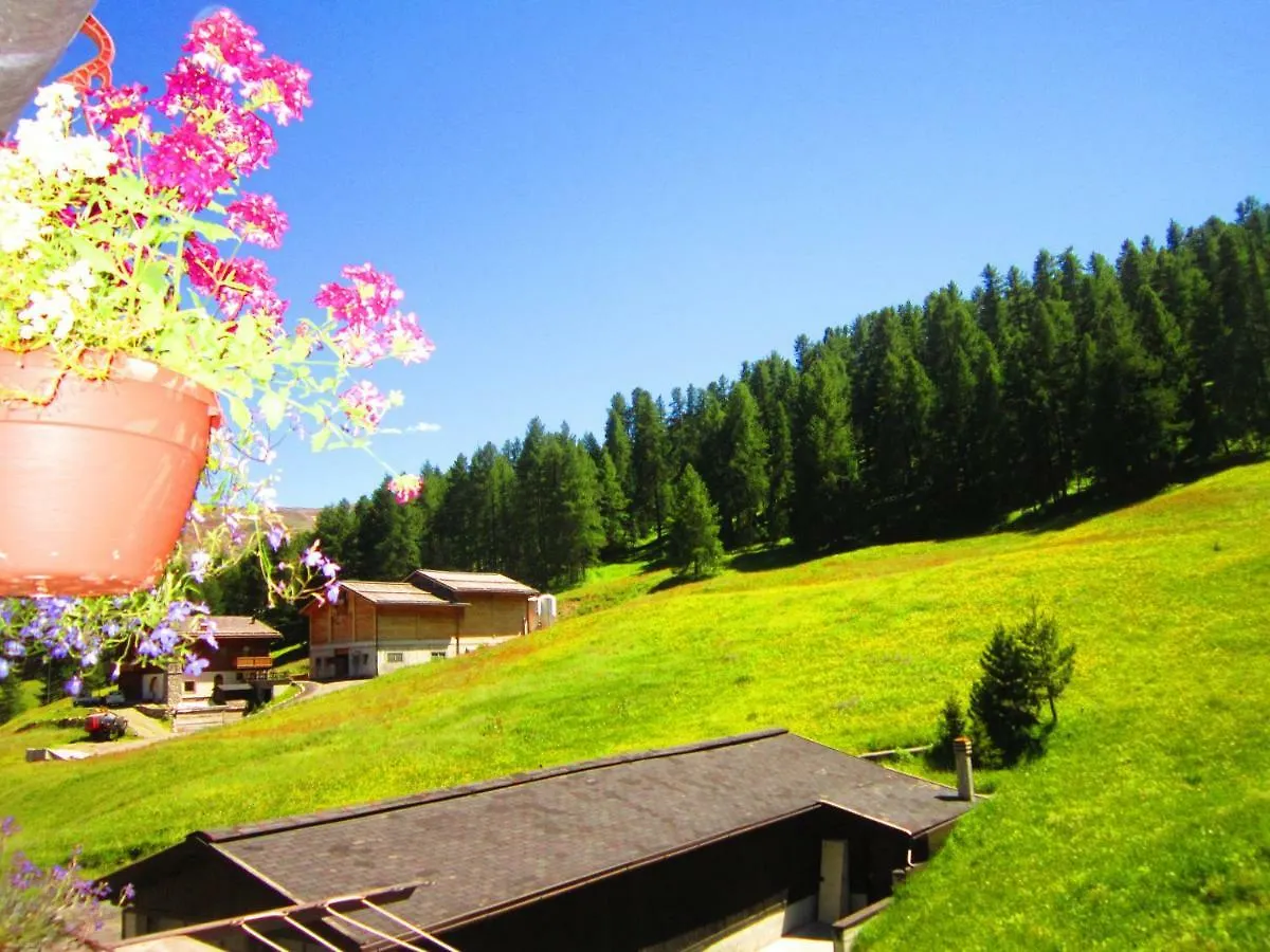 Canton 520 Camera Matrimoniale E Appartamento Self Check In Livigno Italy